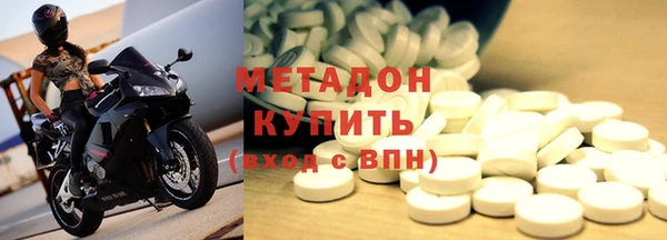 прущие грибы Аркадак