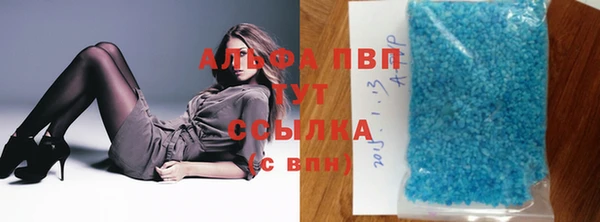прущие грибы Аркадак