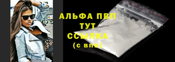 прущие грибы Аркадак